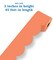 Carson Dellosa 65Ft of Orange Bulletin Board Borders, 1 Roll of Scalloped Trim for Rolling Whiteboard, Cork and Posterboard, Party, Halloween, Office Decorations, and Classroom Decor
